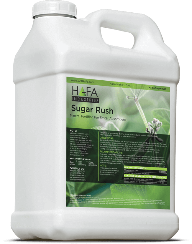 gerçek para ile casino