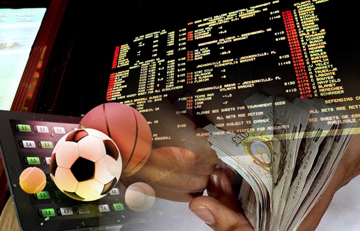 Exploring 56w bet Your Guide to Online Betting Success