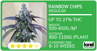Exploring the Wonders of Fat Bastard Weed